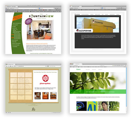 Custom Brochure Websites in Chicago