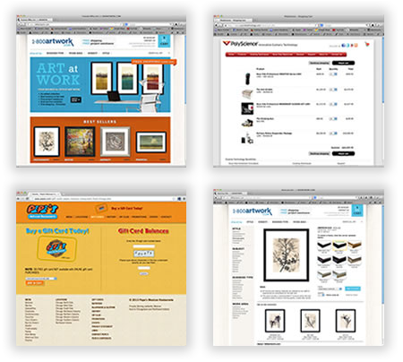 Custom Shopping Carts + eCommerce Solutionsin Chicago