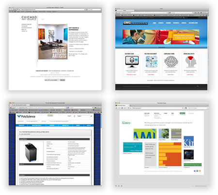 Custom Web Database Applications in Chicago