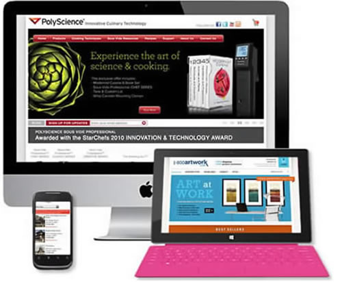 Chicago Website Development - Chicago Website Consulting